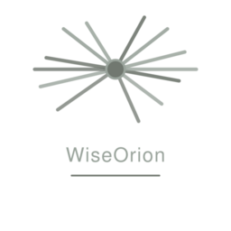 wiseorionkz.com favicon